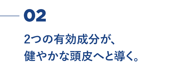 02　2つの有効成分が、健やかな頭皮へと導く。