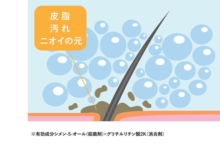 皮脂　汚れ　ニオイの元　※有効成分シメン-5-オール(殺菌剤)×グリチルリチン酸2K（消炎剤）
