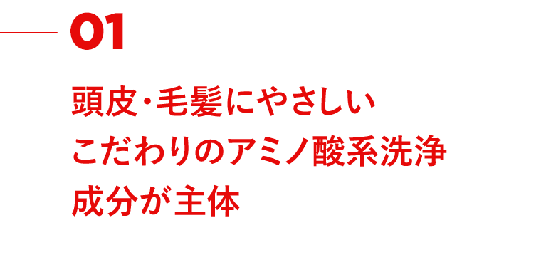 01　頭皮・毛髪にやさしいこだわりのアミノ酸系洗浄成分が主体