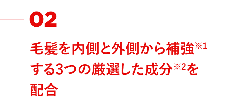 02　毛髪を内側と外側から補強(※1)する3つの厳選した成分(※2)を配合