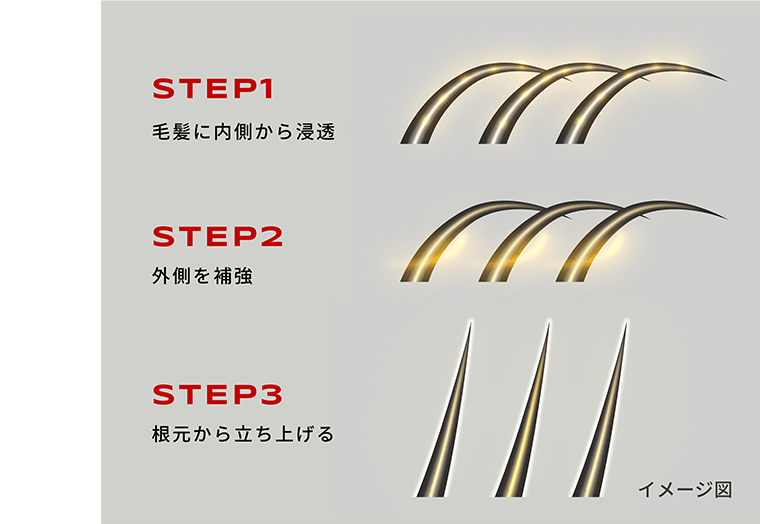 STEP1　毛髪に内側から浸透　STEP2　外側を補強　STEP3　根元から立ち上げる　イメージ図