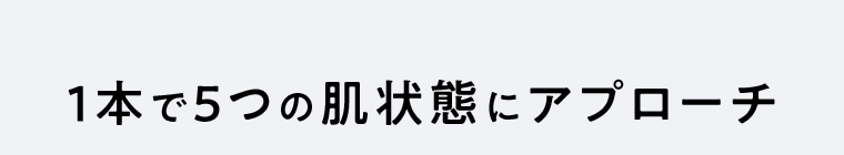 1本で5つの肌状態にアプローチ