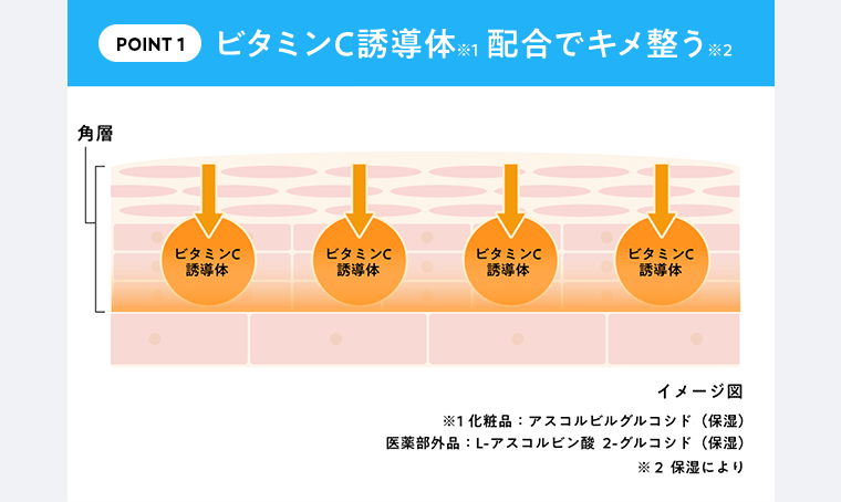 POINT1 ビタミンC誘導体※1配合でキメ整う※2 イメージ図 ※1 化粧品:アスコルビルグルコシド(保湿) 医薬部外品:L-アスコルビン酸 2-グルコシド(保湿) ※2 保湿により