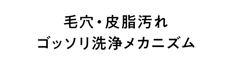毛穴・皮脂汚れ ゴッソリ洗浄メカニズム