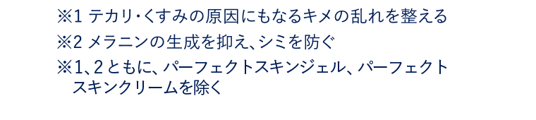 ※1 テカリ・くすみの原因にもなるキメの乱れを整える　※2 メラニンの生成を抑え、シミを防ぐ　※1、2ともに、パーフェクトスキンジェル、パーフェクトスキンクリームを除く