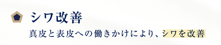 シワ改善 真皮と表皮への働きかけにより、シワを改善