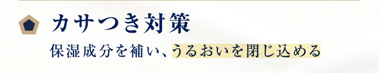 カサつき対策 保湿成分を補い、うるおいを閉じ込める