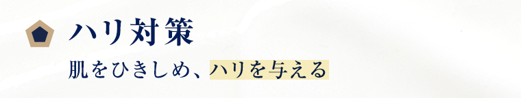 ハリ対策 肌をひきしめ、ハリを与える