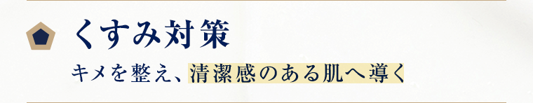 くすみ対策 キメを整え、清潔感のある肌へ導く