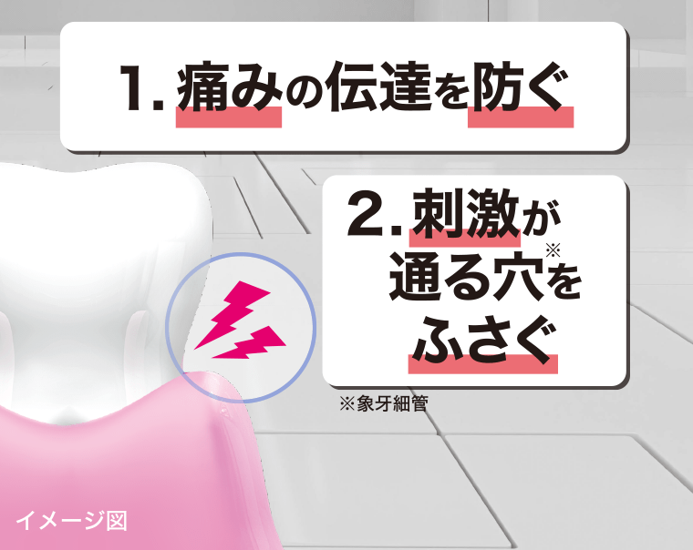 1. 痛みの伝達を防ぐ　2. 刺激が通る穴※をふさぐ　※象牙細管