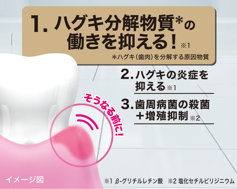 1. ハグキ分解物質＊の働きを抑える※1　＊ハグキ（歯肉）を分解する原因物質　2. ハグキの炎症を抑える※1　3. 歯周病菌の殺菌＋増殖抑制※2　※1 β-グリチルレチン酸　※2 塩化セチルピリジニウム