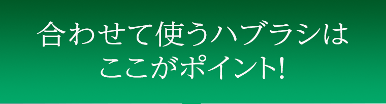 合わせて使うハブラシはここがポイント！
