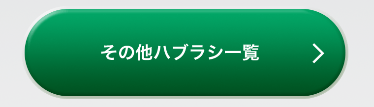 その他ハブラシ一覧