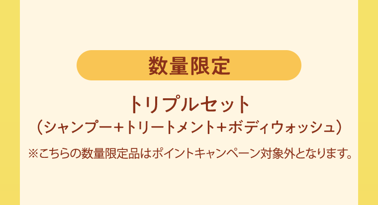 数量限定 トリプルセット (シャンプー+トリートメント+ボディウォッシュ)