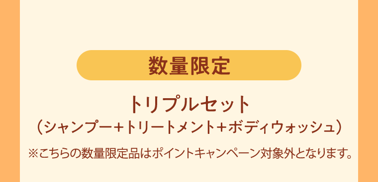 数量限定 トリプルセット (シャンプー+トリートメント+ボディウォッシュ)