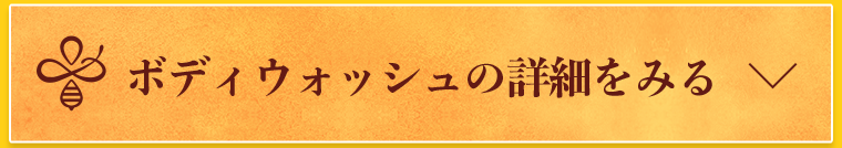 ボディウォッシュの詳細をみる