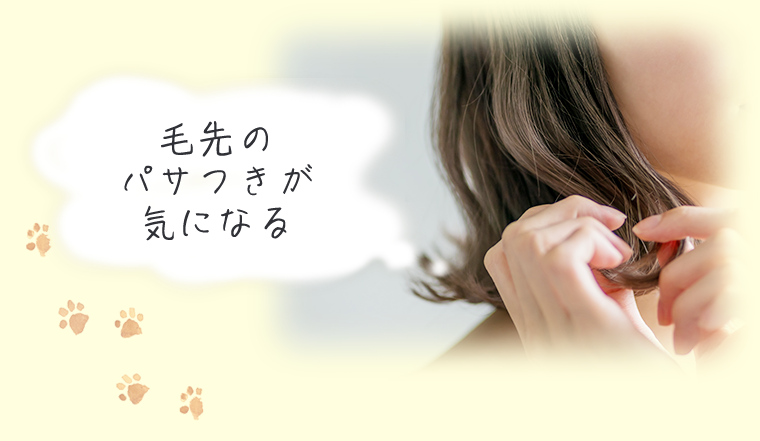 毛先のパサつきが気になる