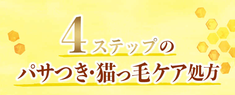 4ステップのパサつき・猫っ毛ケア処方