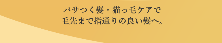 パサつく髪・猫っ毛ケアで毛先まで指通りの良い髪へ。