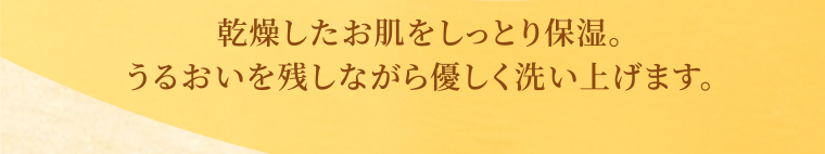 乾燥したお肌をしっとり保湿。うるおいを残しながら優しく洗い上げます。