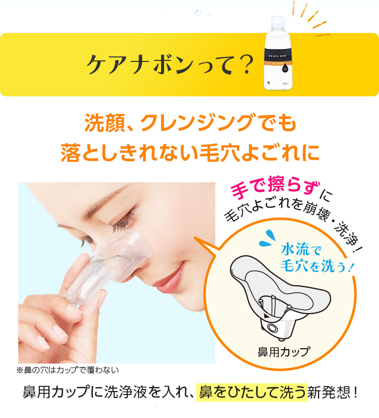 ケアナボンって？