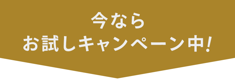 今ならお試しキャンペーン中！