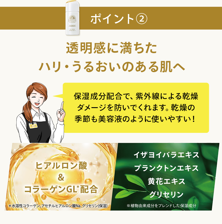 デイセラムのヒミツ２