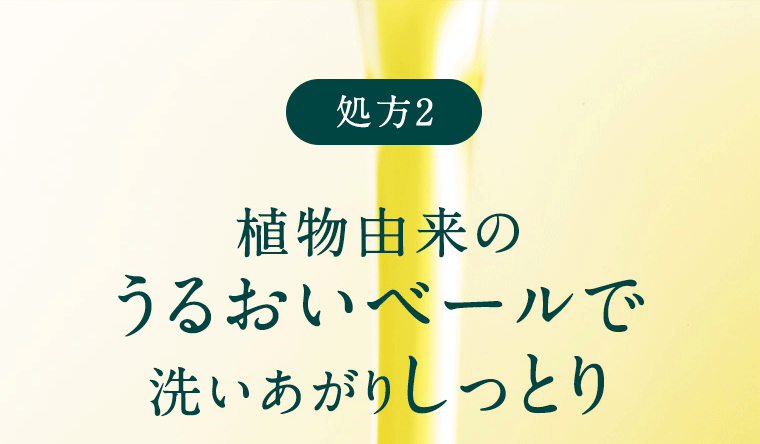 【処方2】植物由来のうるおいベールで洗いあがりしっとり