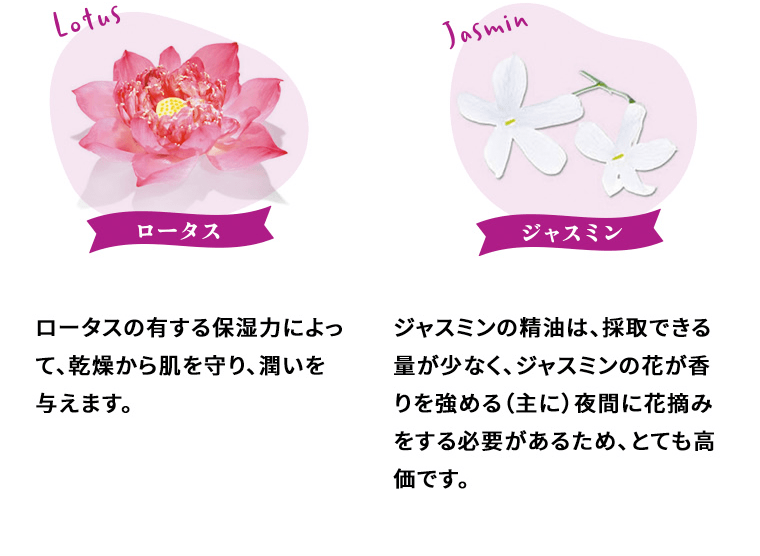 【ロータス】ロータスの有する保湿力によって、乾燥から肌を守り、潤いを与えます。　【ジャスミン】ジャスミンの精油は、採取できる量が少なく、ジャスミンの花が香りを強める（主に）夜間に花摘みをする必要があるため、とても高価です。