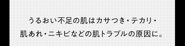 うるおい不足の肌はカサつき、テカリ・肌あれ・ニキビなどの肌トラブルの原因に。