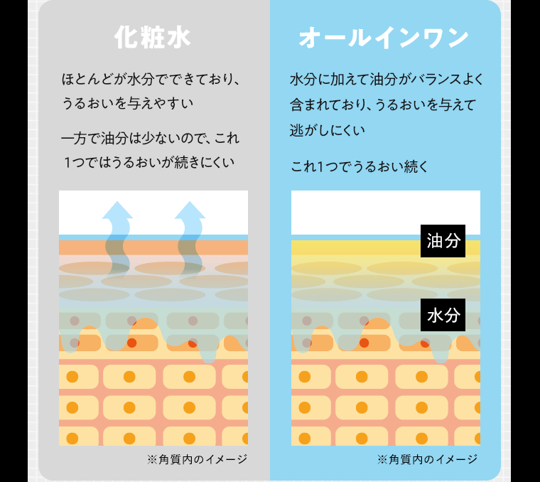 【化粧水】ほとんどが水分でできており、うるおいを与えやすい一方で油分は少ないので、これ１つではうるおいが続きにくい　【オールインワン】水分に加えて油分がバランスよく含まれており、うるおいを与えて逃がしにくい
これ１つでうるおい続く