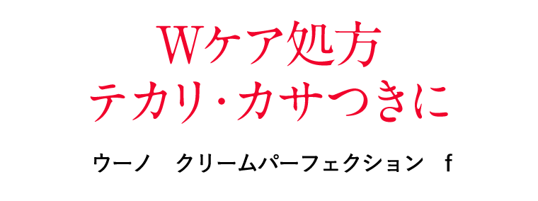 Wケア処方　テカリ・カサつきに　ウーノ　クリームパーフェクション　ｆ