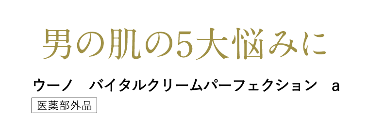 男の肌の5大悩みに　ウーノ　バイタルクリームパーフェクション　a [医薬部外品]