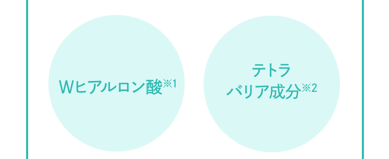 Wヒアルロン酸※1　テトラバリア成分※2