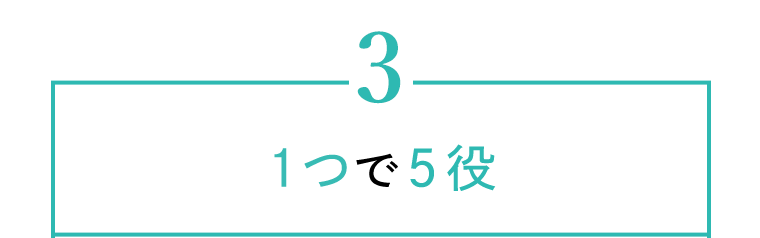 3　1つで5役