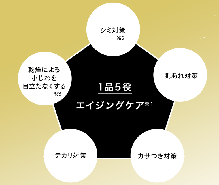 シミ対策※2　肌あれ対策　カサつき対策　テカリ対策　乾燥による小じわを目立たなくする※3　｜　1品5役　エイジングケア※1