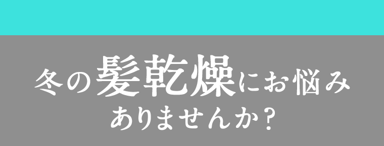 冬の髪乾燥にお悩みありませんか?