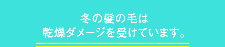 冬の髪の毛は乾燥ダメージを受けています。