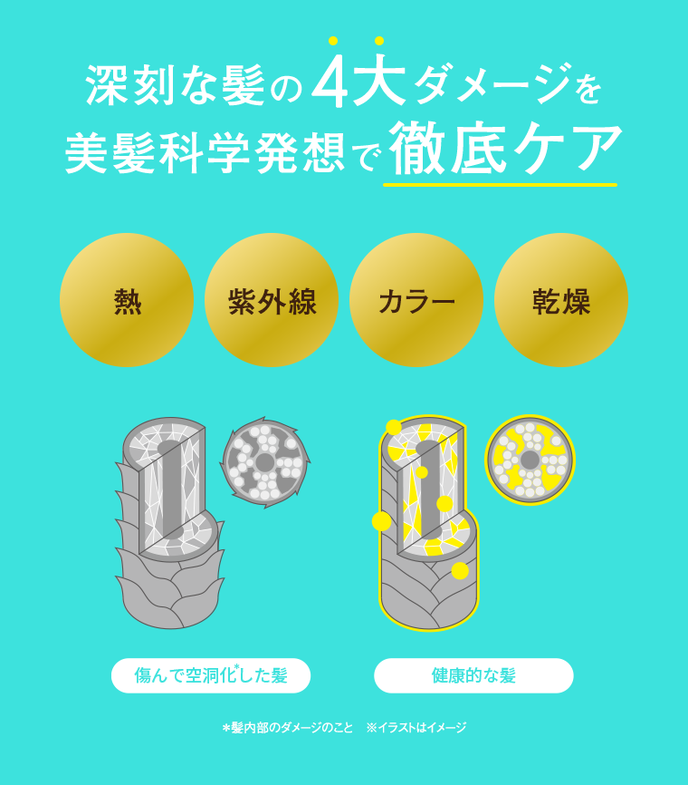 深刻な髪の4大ダメージを美髪科学発想で徹底ケア 熱 紫外線 カラー 乾燥