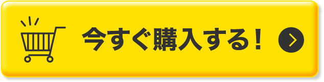 今すぐ購入する！