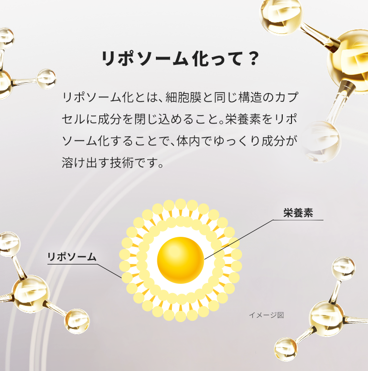 リポソーム化って？