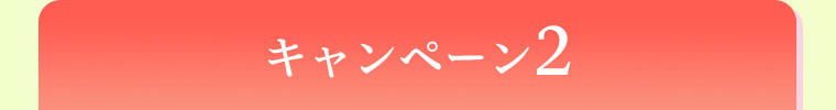 キャンペーン2