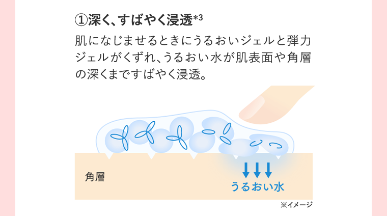 ①深く、すばやく浸透＊3　肌になじませるときにうるおいジェルと弾力ジェルがくずれ、うるおい水が肌表面や角層の深くまですばやく浸透。