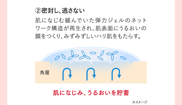 ②密封し、逃さない　肌になじむ緩んでいた弾力ジェルのネットワーク構造が再生され、肌表面にうるおいの膜をつくり、みずみずしいハリ肌をもたらす。肌になじみ、うるおいを貯蓄