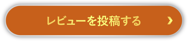 レビューを投稿する