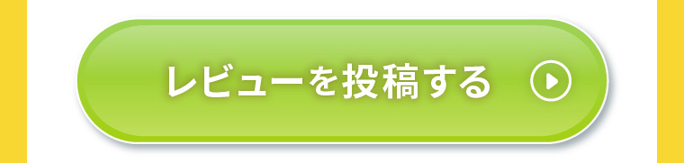レビューを投稿する