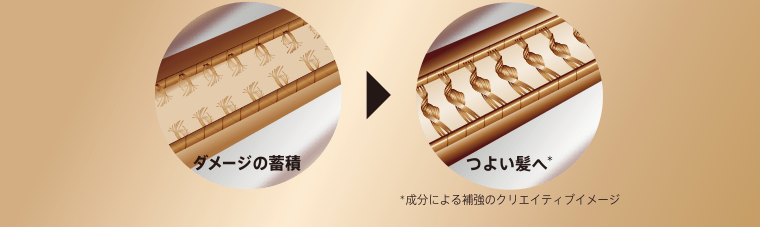 ダメージの蓄積→つよい髪へ*　*成分による補強のクリエイティブイメージ