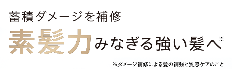 蓄積ダメージを補修　素髪力みなぎる強い髪へ※　※ダメージ補修による髪の補強と質感ケアのこと