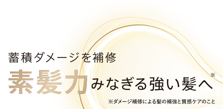 蓄積ダメージを補修　素髪力みなぎる強い髪へ※　※ダメージ補修による髪の補強と質感ケアのこと