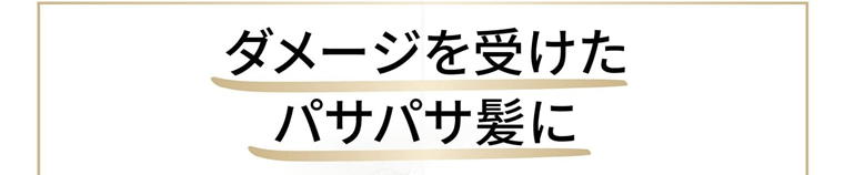 ダメージを受けたパサパサ髪に